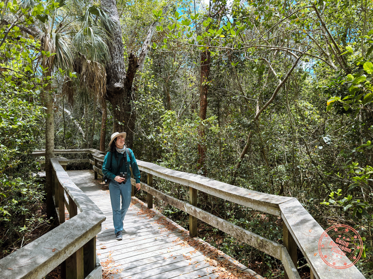 woman walking mahogany hammock trail