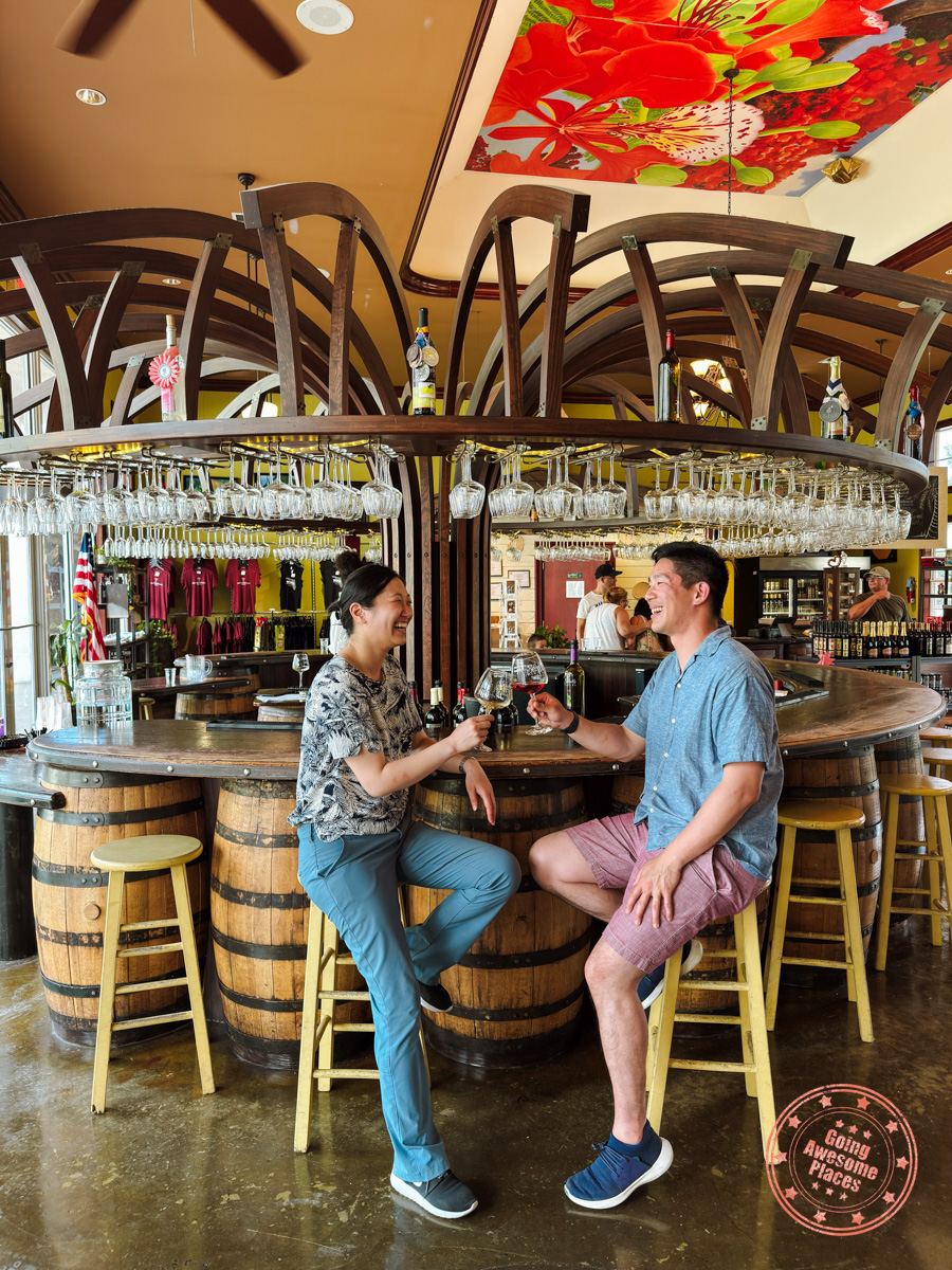 wine tasting at schnebly's winery and berewery